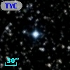 TYC 2137-2678-1