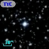TYC 2137-2912-1