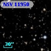 NSV 11950