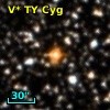V* TY Cyg