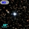 HD 338591