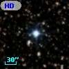 HD 338608