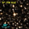 V* FN Vul