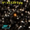 V* V1129 Cyg