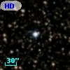 HD 338599