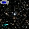HD 338509