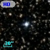 HD 338616