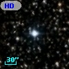 HD 338505