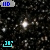 HD 338500