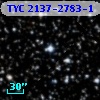 TYC 2137-2783-1