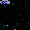 CXOSEXSI J042952.4+644253