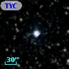 TYC 2133-2631-1