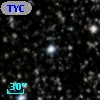 TYC 2137-1445-1