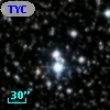 TYC 2137-1625-1