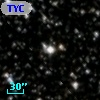 TYC 2137-1658-1
