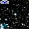 TYC 2137-2605-1