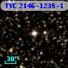 TYC 2146-1238-1