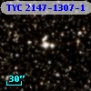 TYC 2147-1307-1