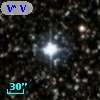 V* V2088 Cyg