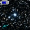 HD 338776