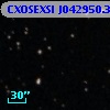 CXOSEXSI J042950.3+644444