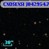 CXOSEXSI J042954.7+644629
