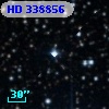 HD 338856