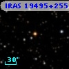 IRAS 19495+2559