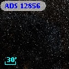ADS 12856