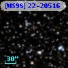 [MS98] 22-20516