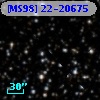 [MS98] 22-20675