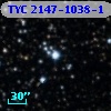 TYC 2147-1038-1