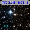 TYC 2147-1873-1