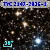 TYC 2147-2036-1