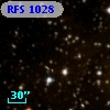 RFS 1028