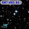 EM* VES   81