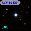 NSV 16133