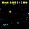 IRAS 19536+2556