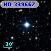 HD 339667