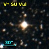 V* SU Vul
