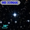 HD 339666