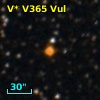 V* V365 Vul