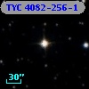 TYC 4082-256-1