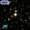 NSV 13077