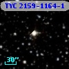 TYC 2159-1164-1