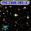 TYC 2160-202-1