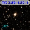 TYC 2160-1132-1