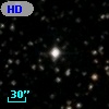HD 347006