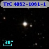 TYC 4082-1081-1