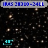 IRAS 20310+2411
